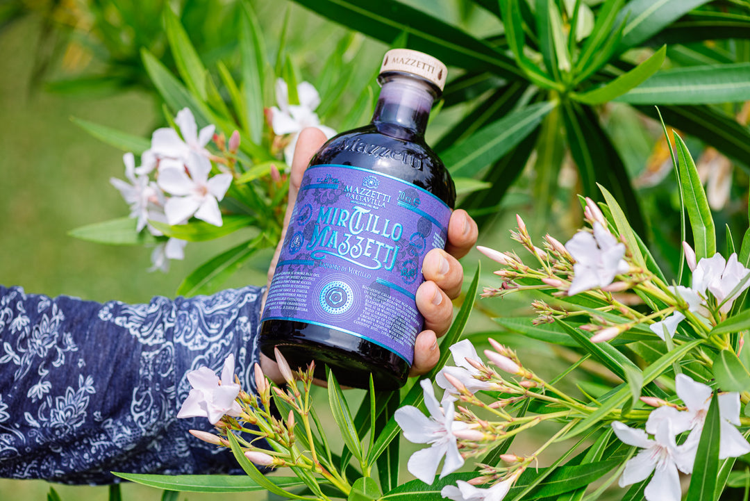 MIRTILLO - Liqueur italienne de myrtilles avec de la grappa